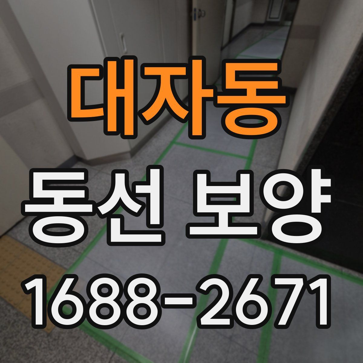 대자동 동선 보양