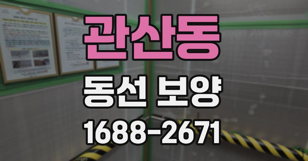 관산동 동선 보양