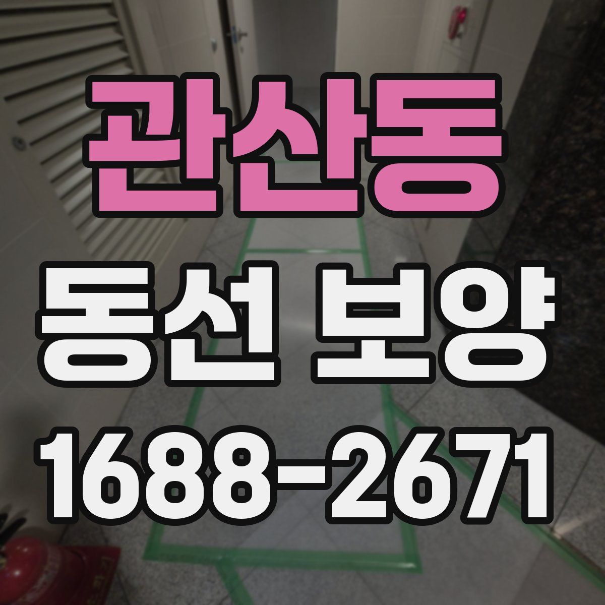 관산동 동선 보양