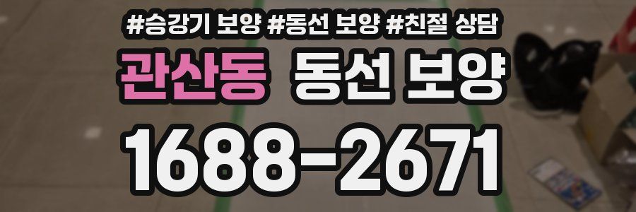 관산동 동선 보양