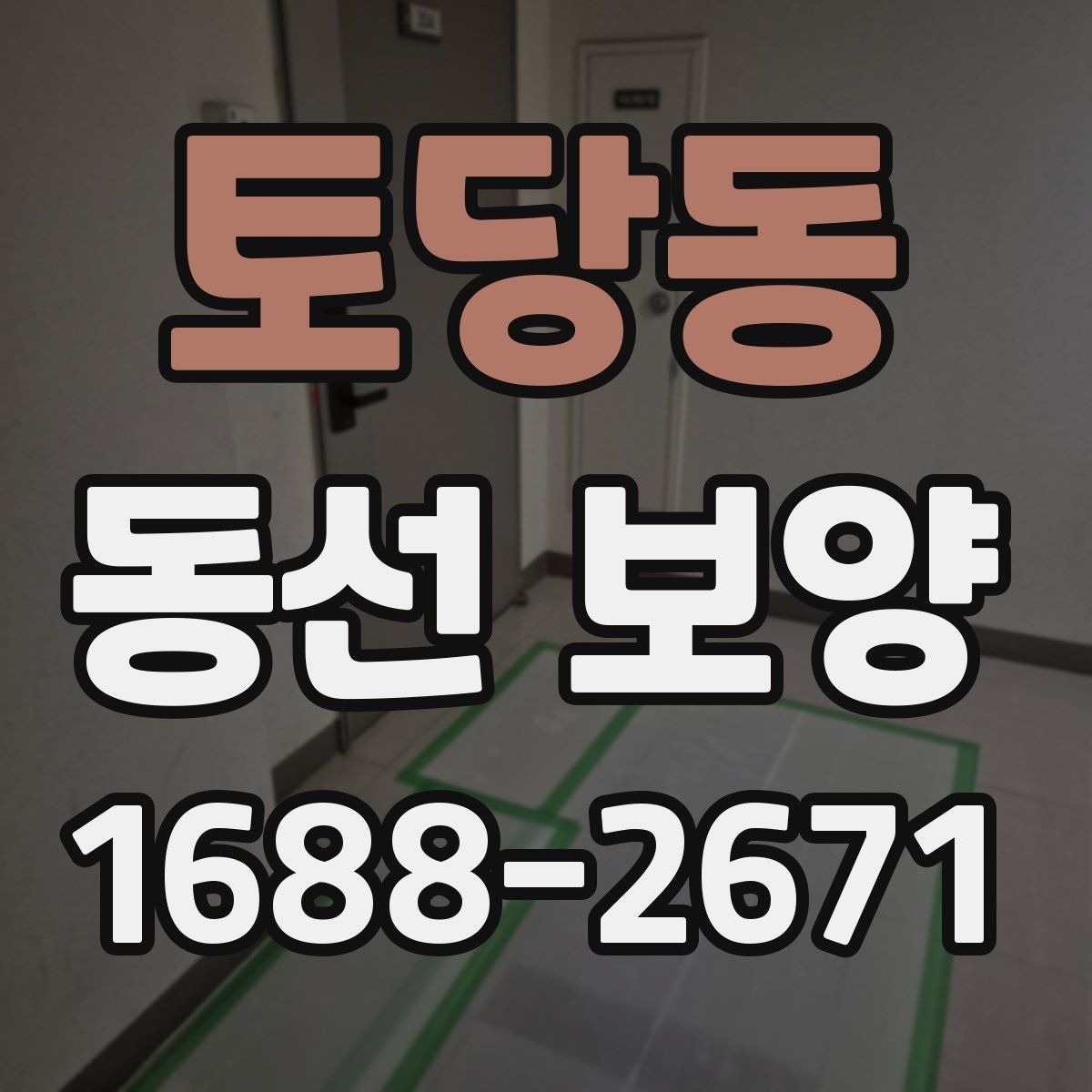 토당동 동선 보양