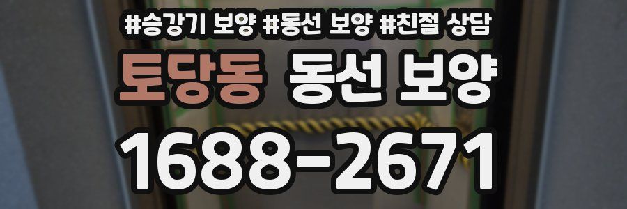 토당동 동선 보양