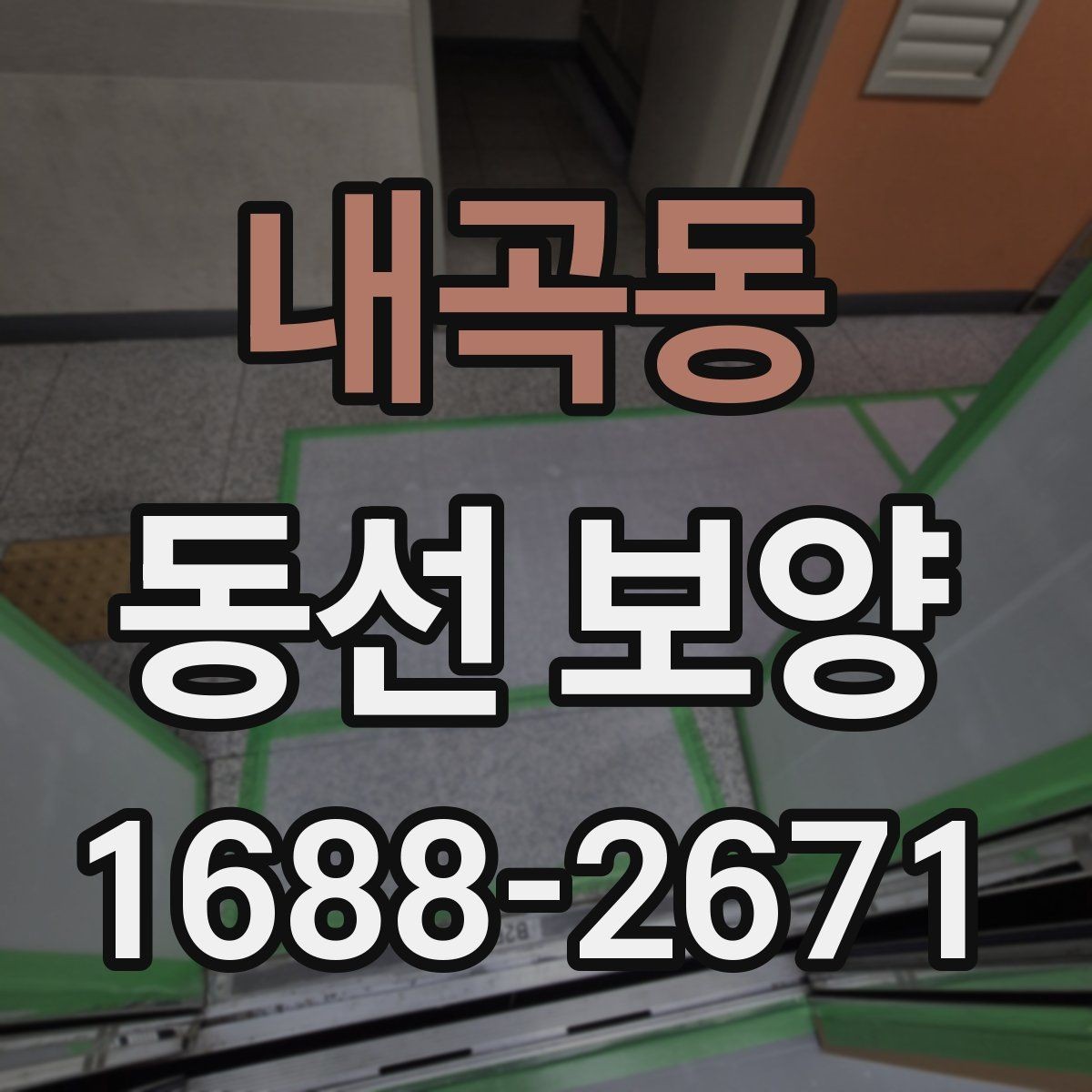내곡동 동선 보양 작업 범위를 정할 때 기준이 되는 것