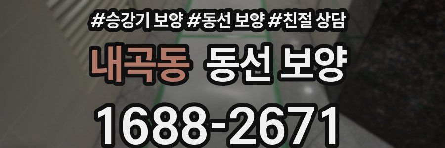 내곡동 동선 보양