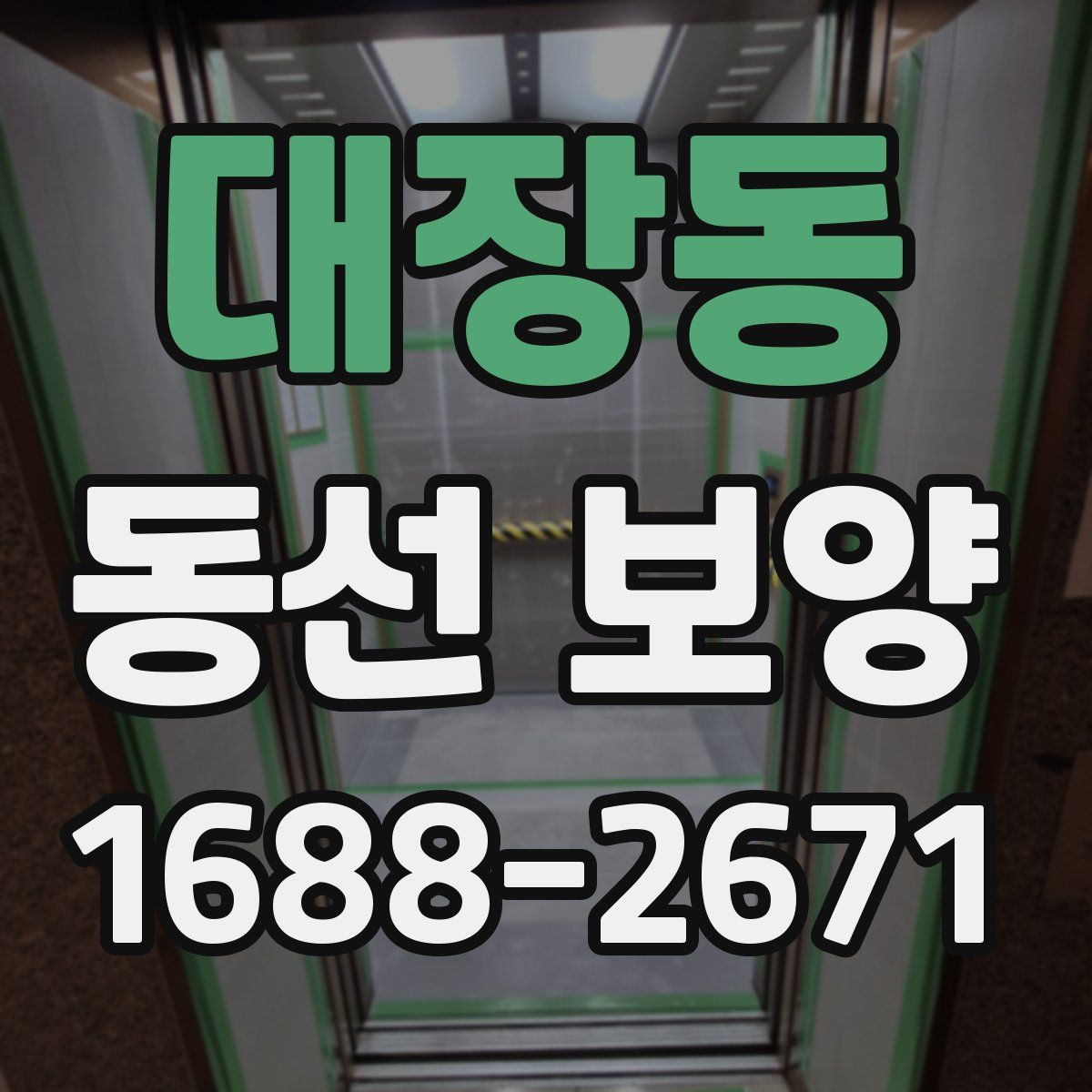 대장동 동선 보양
