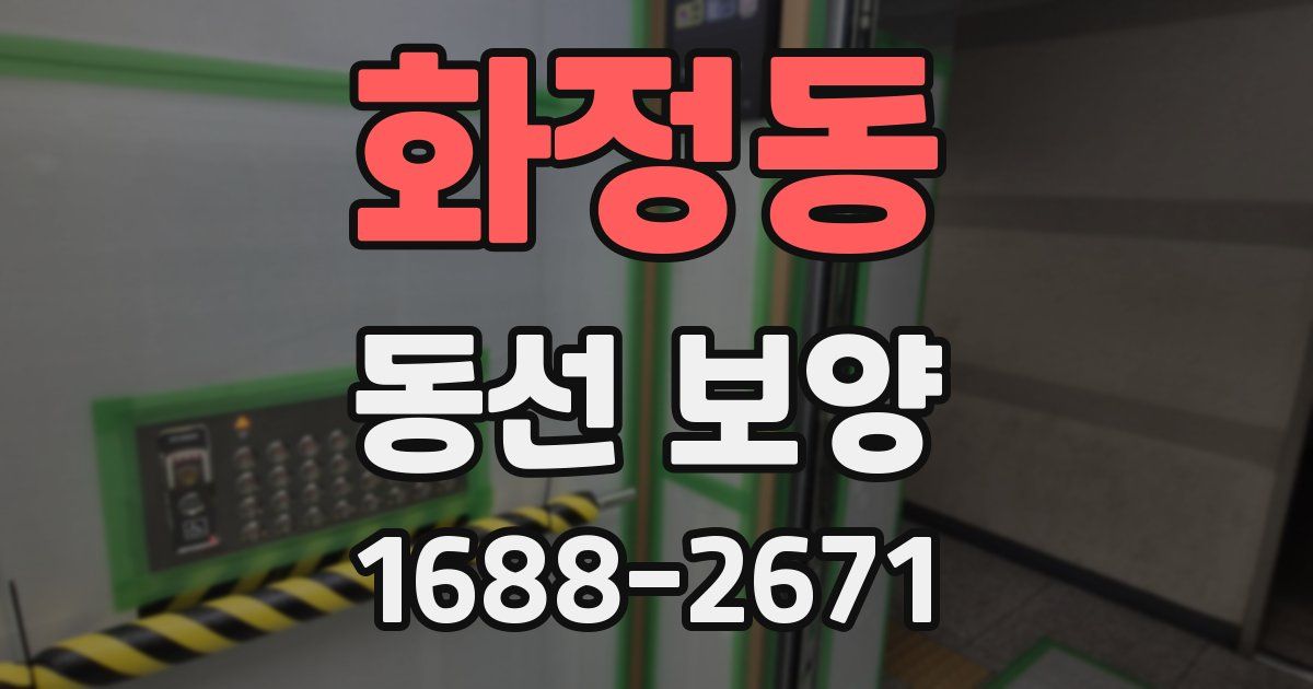 화정동 동선 보양