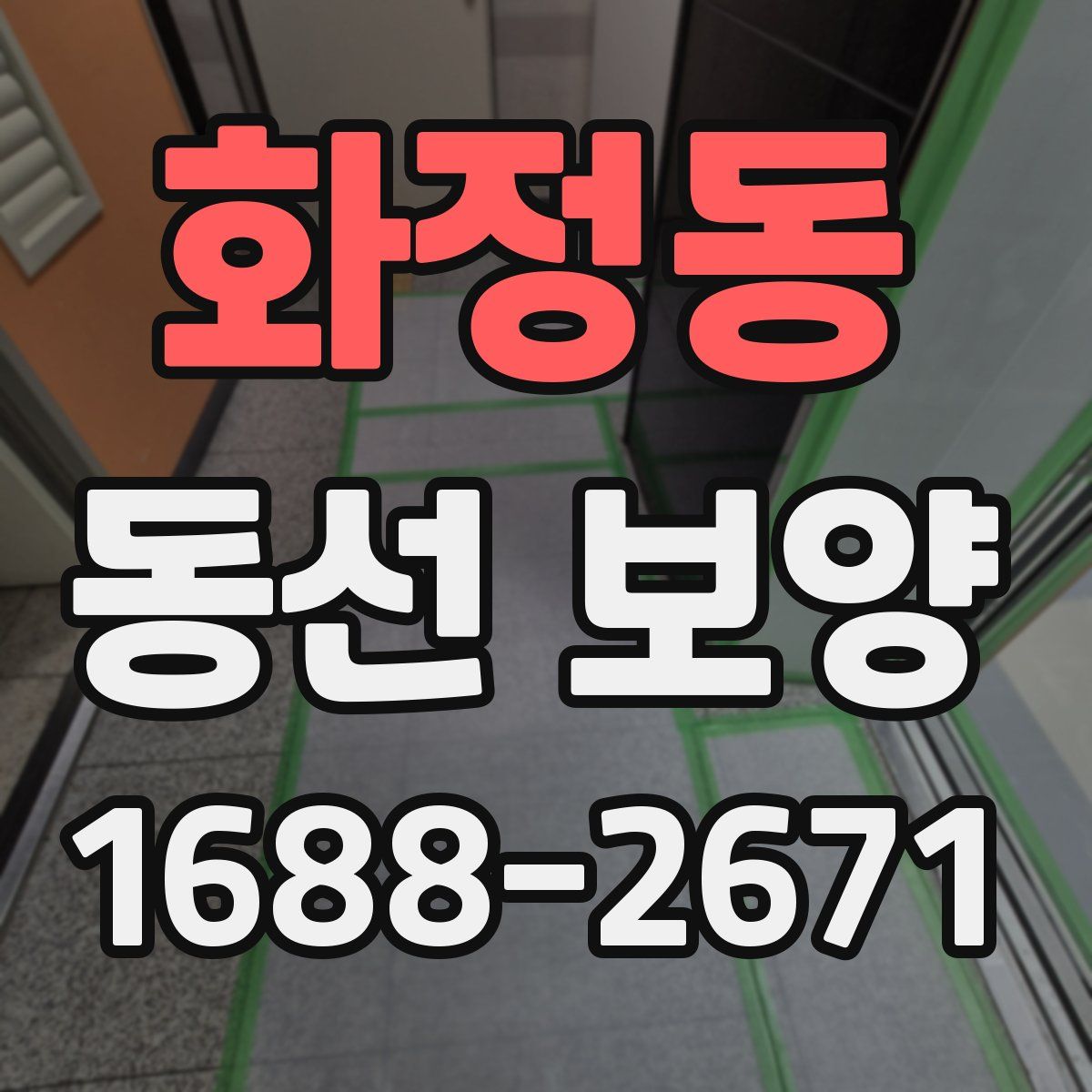 화정동 동선 보양