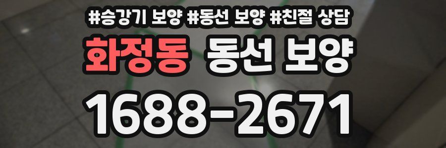 화정동 동선 보양