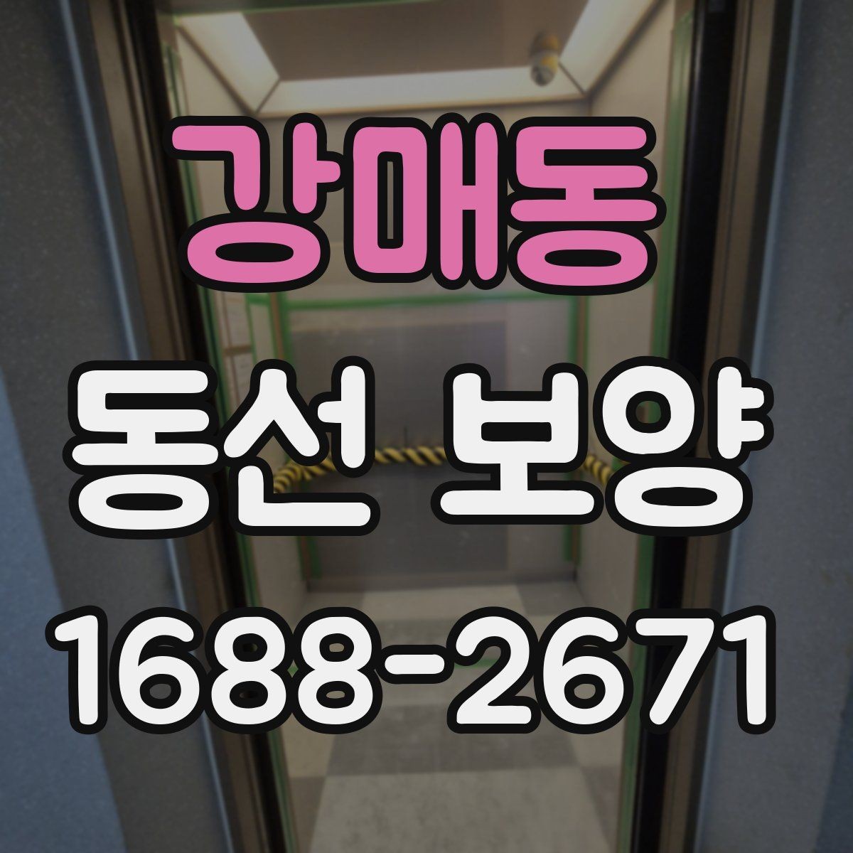 강매동 동선 보양 비교 시 살펴봐야 할 차이점