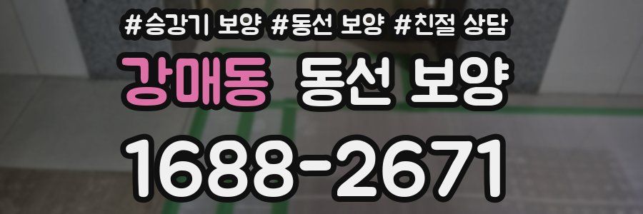 강매동 동선 보양