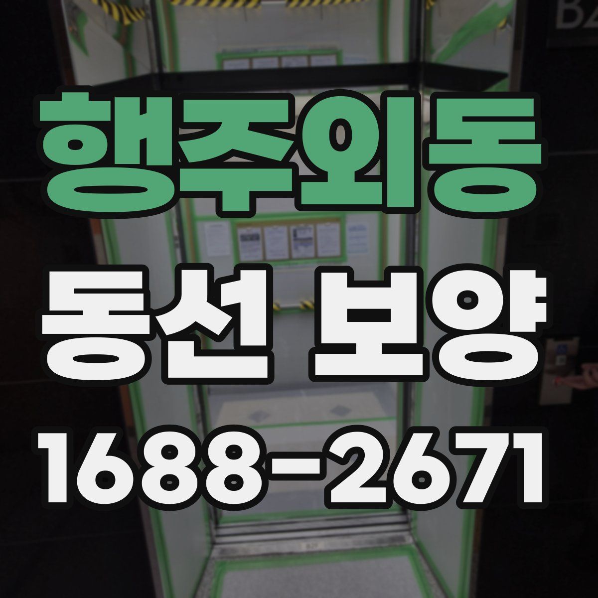 행주외동 동선 보양