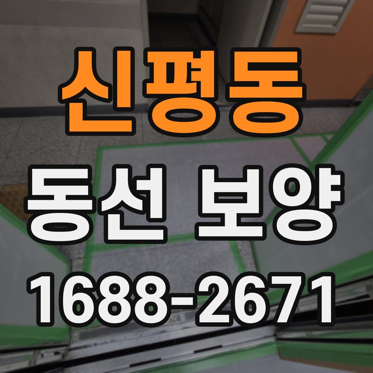 신평동 동선 보양