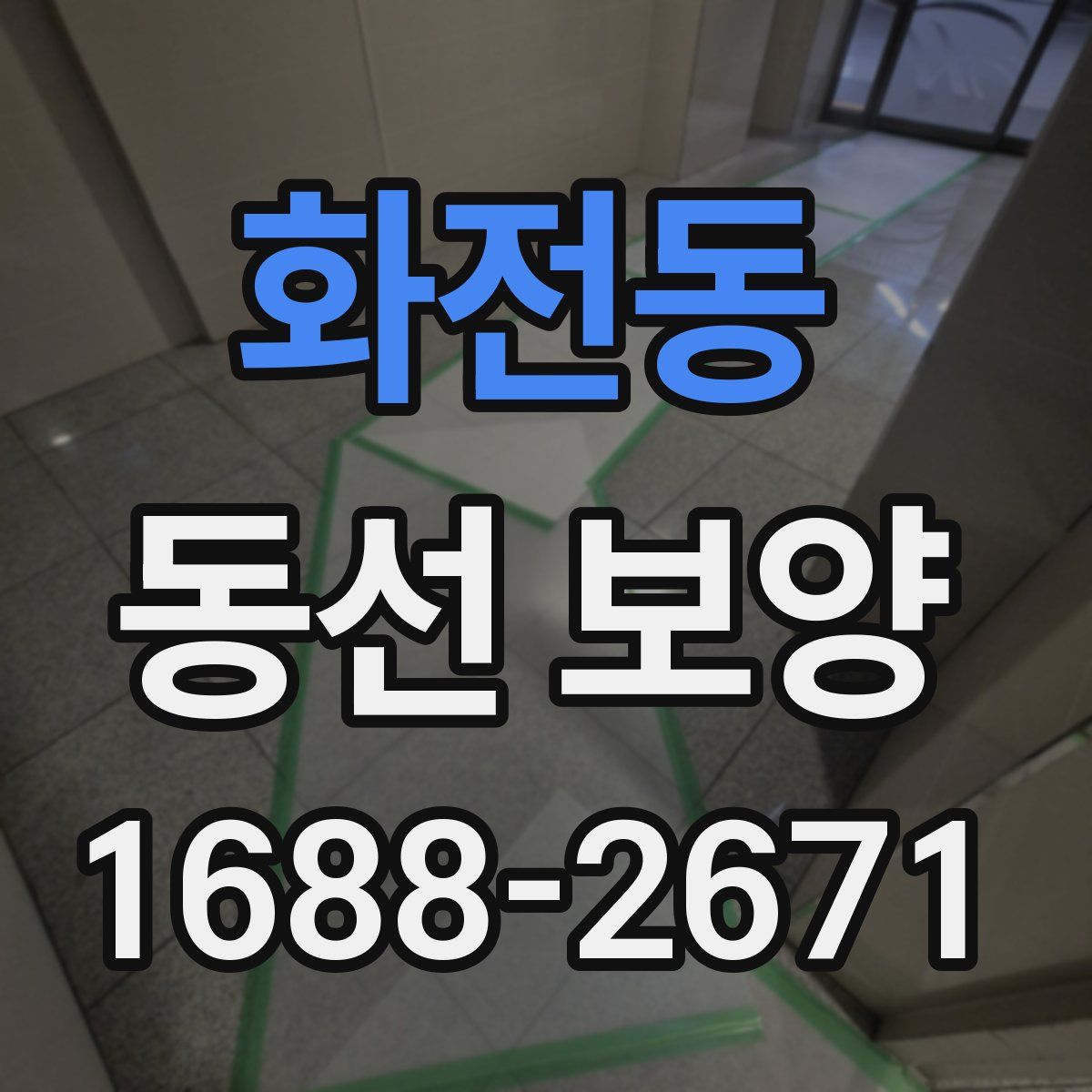 화전동 동선 보양