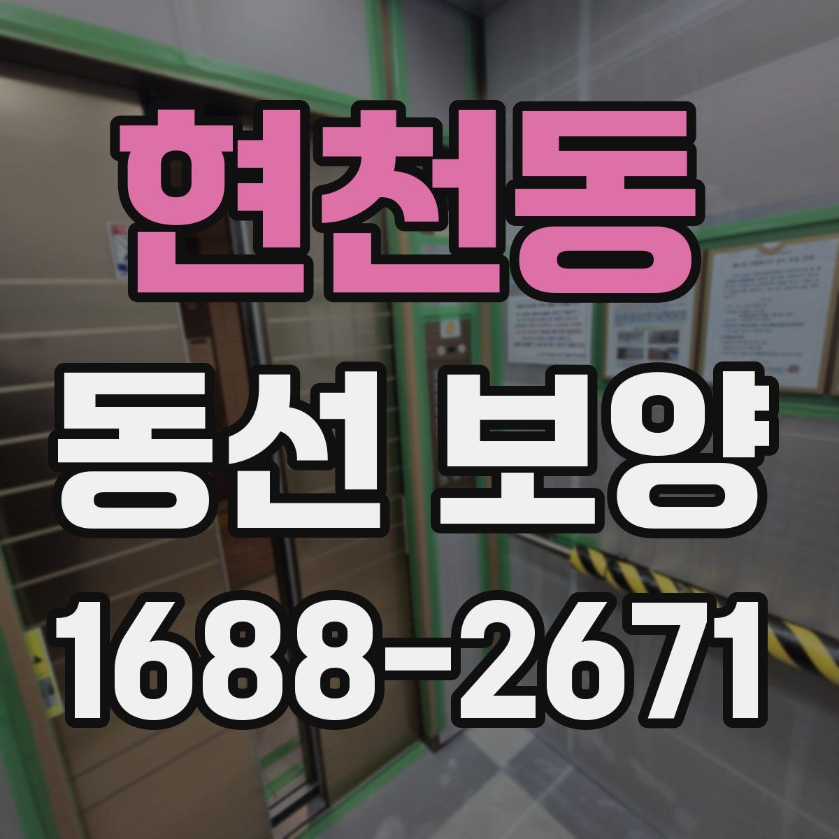 현천동 동선 보양