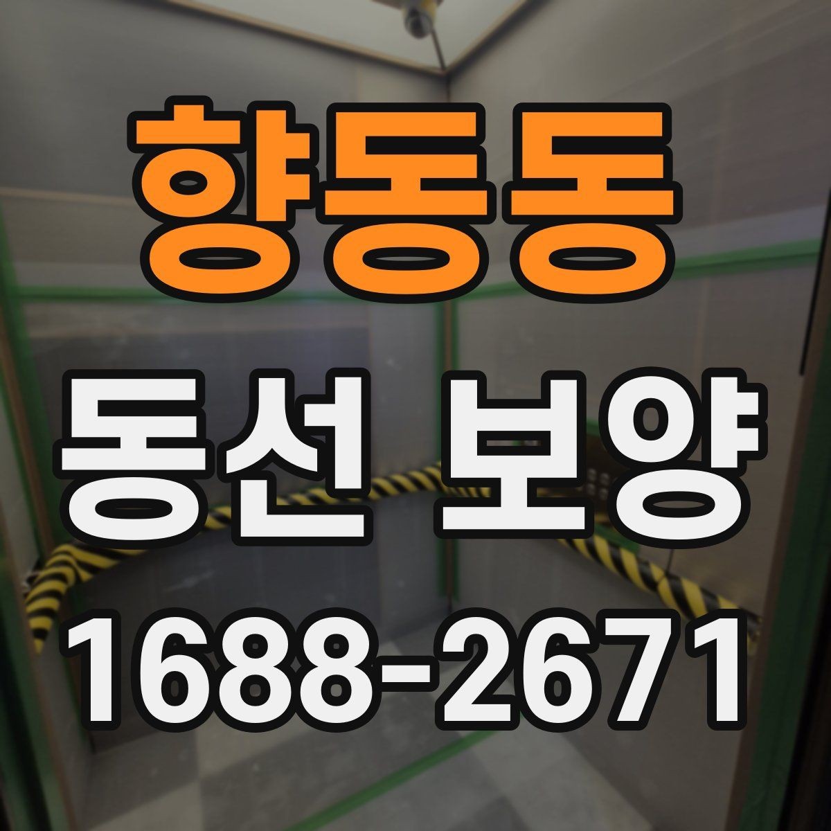 향동동 동선 보양 시공 전 현장 상태 점검하기