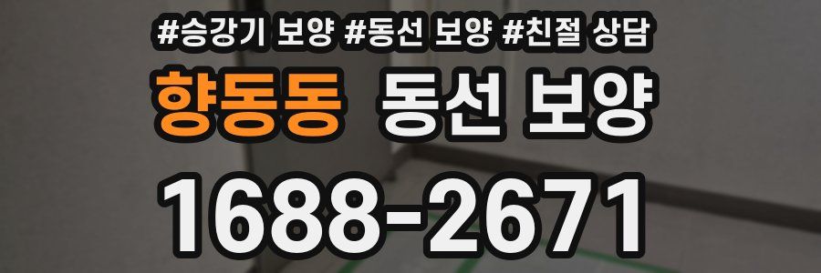 향동동 동선 보양