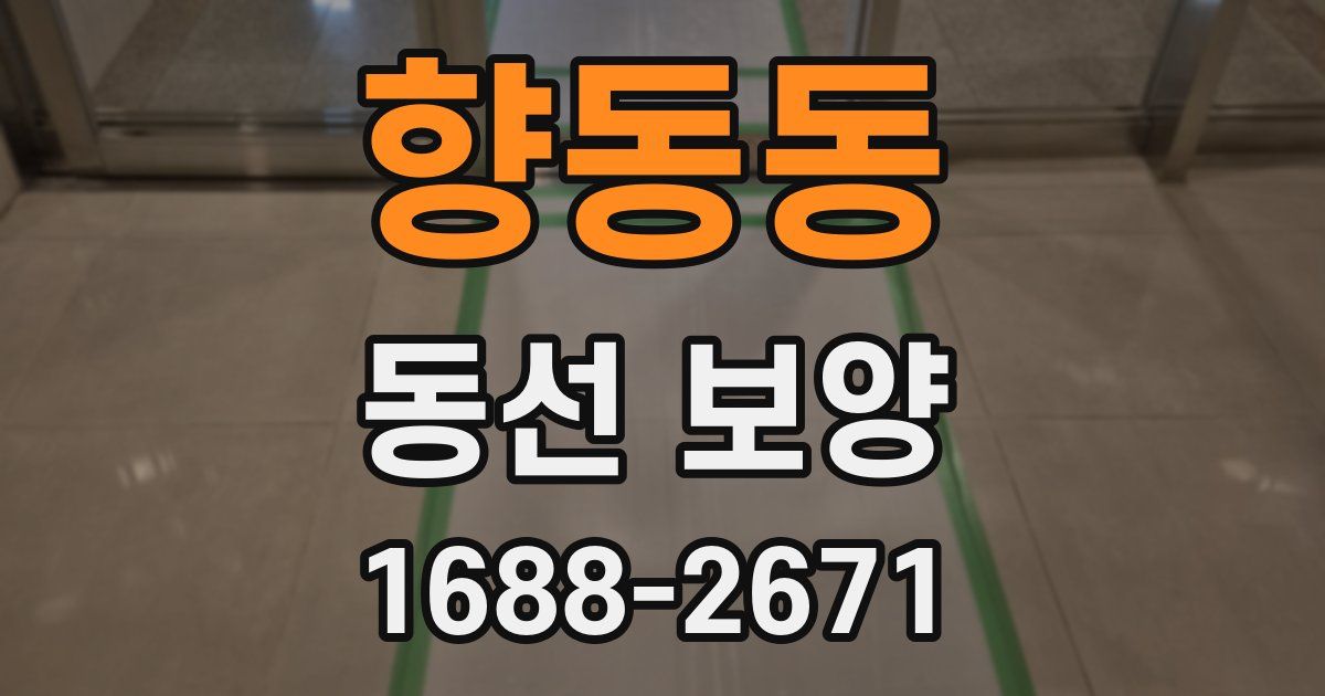 향동동 동선 보양