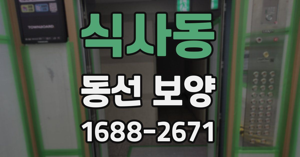 식사동 동선 보양