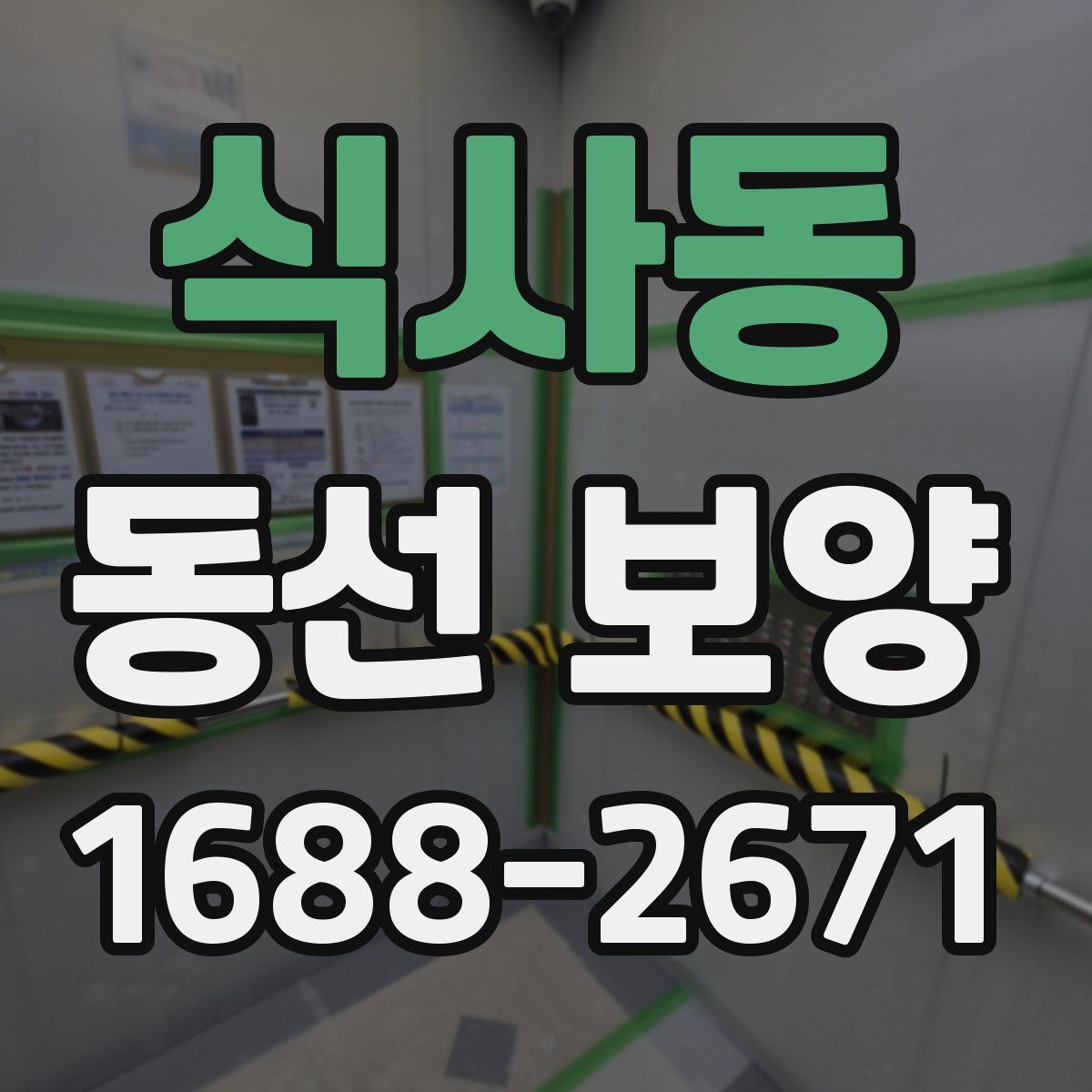 식사동 동선 보양