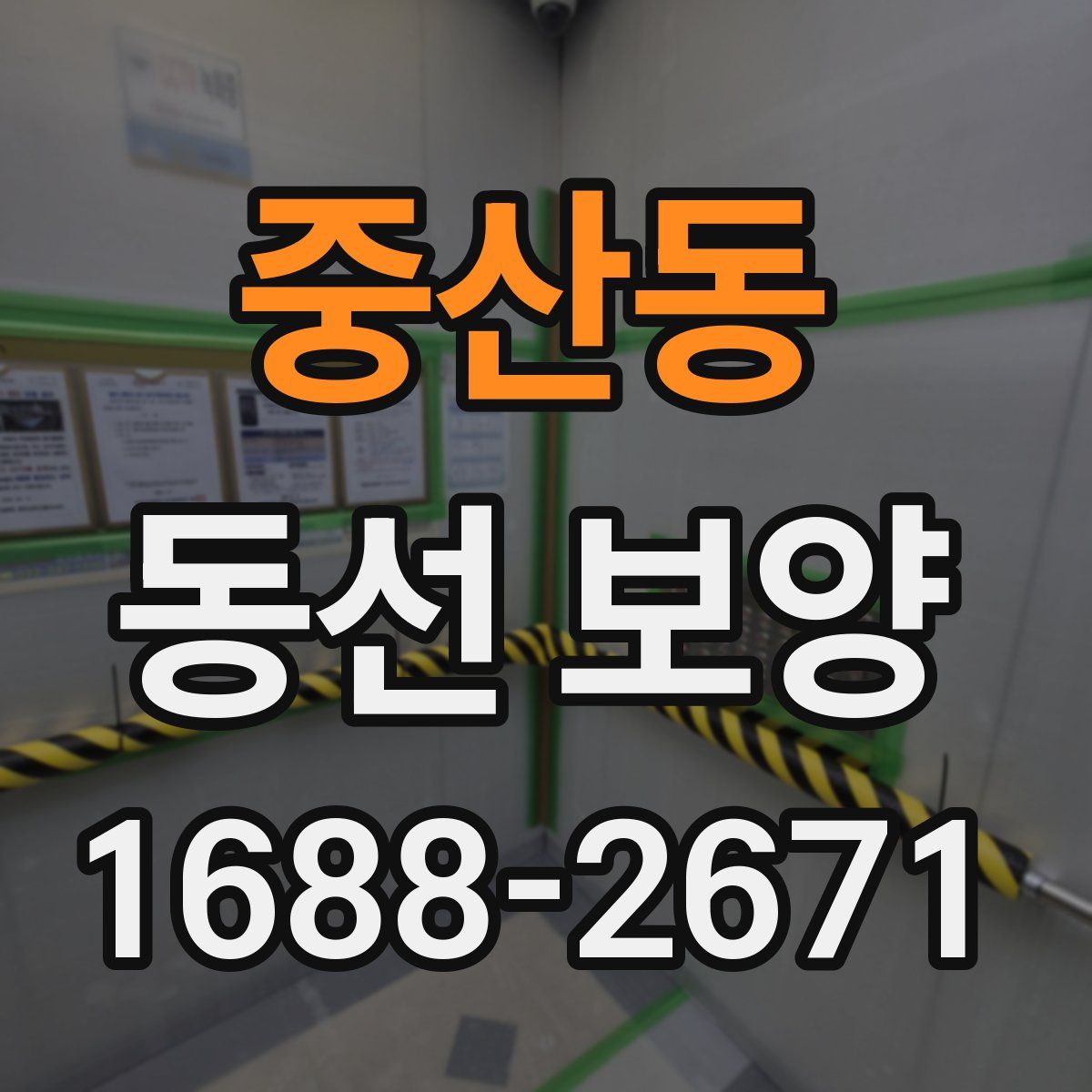 중산동 동선 보양