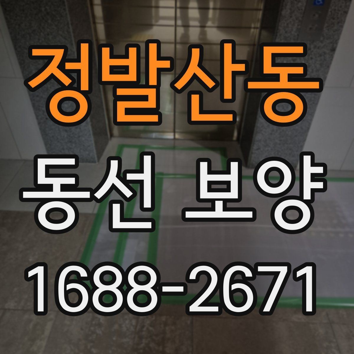 정발산동 동선 보양 시공 품질을 좌우하는 준비 단계
