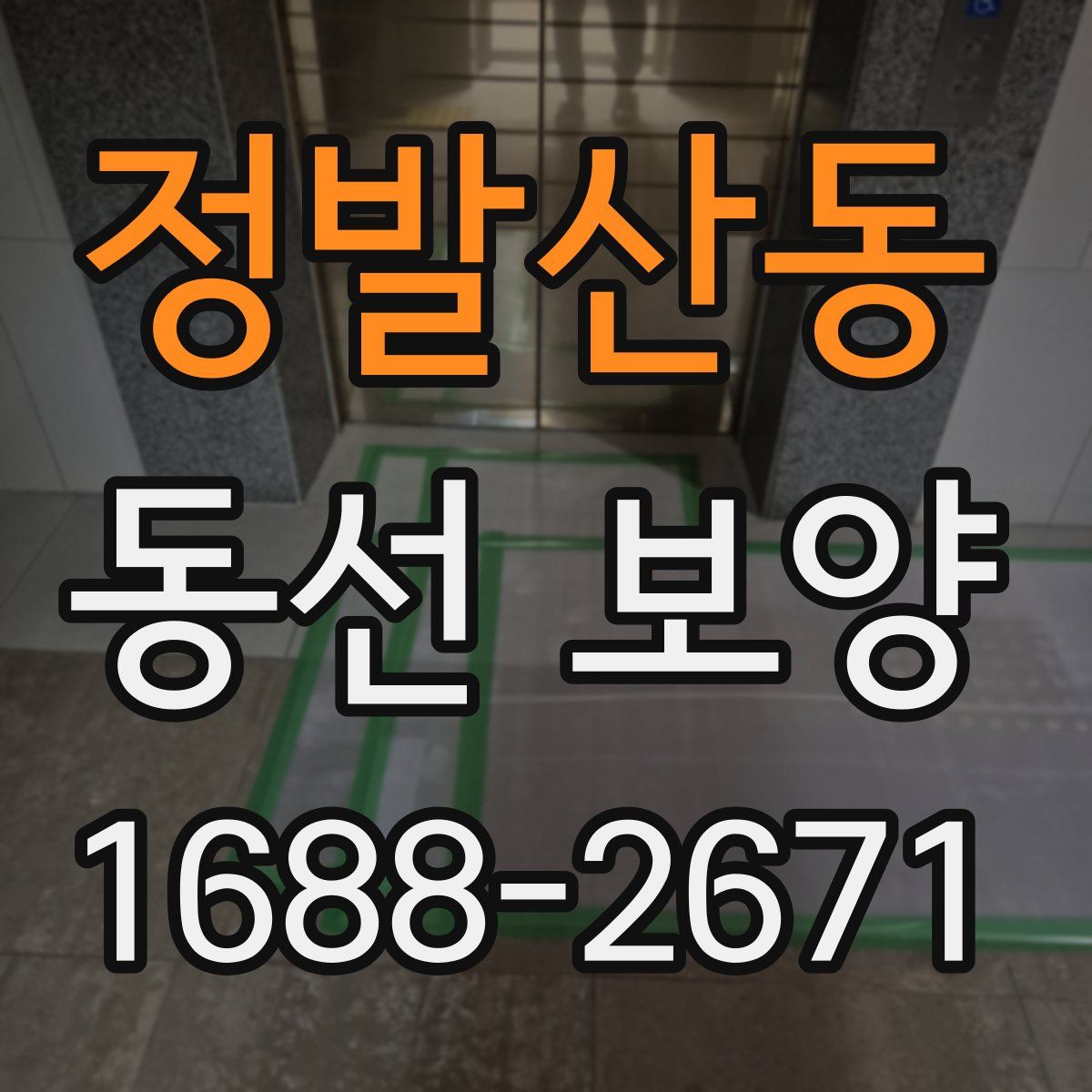 정발산동 동선 보양