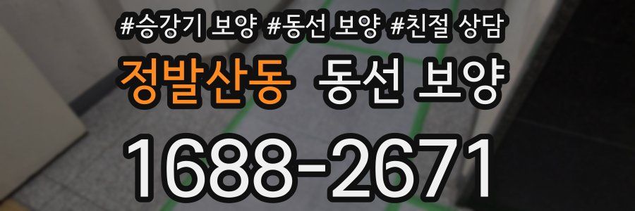 정발산동 동선 보양