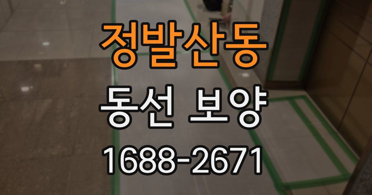 정발산동 동선 보양