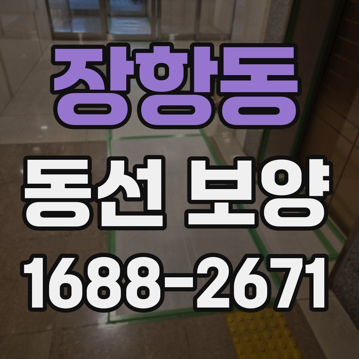 장항동 동선 보양