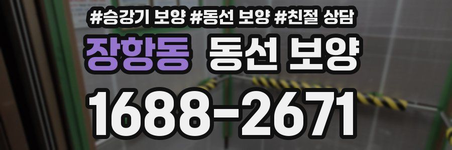 장항동 동선 보양