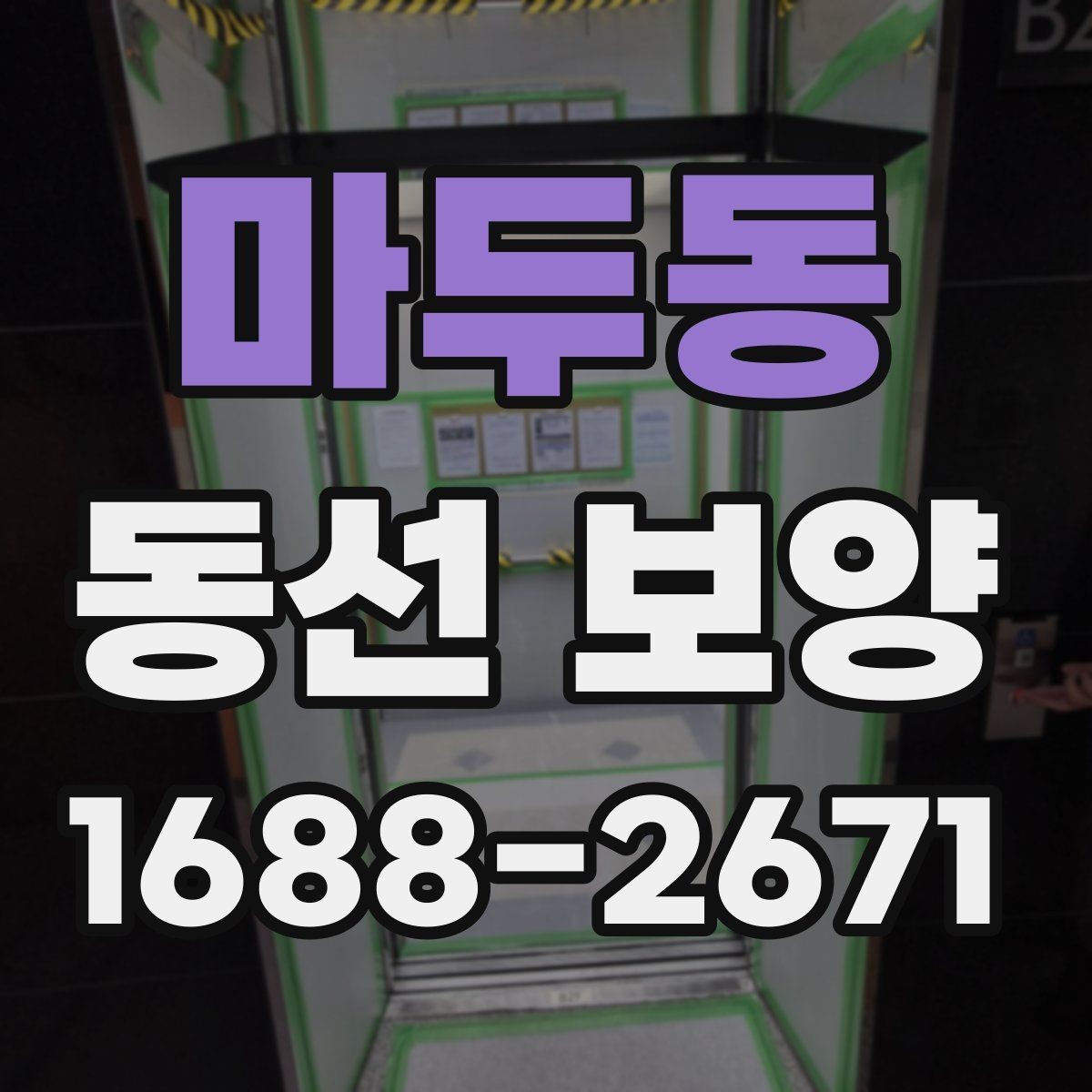 마두동 동선 보양 과정에서 발생할 수 있는 문제