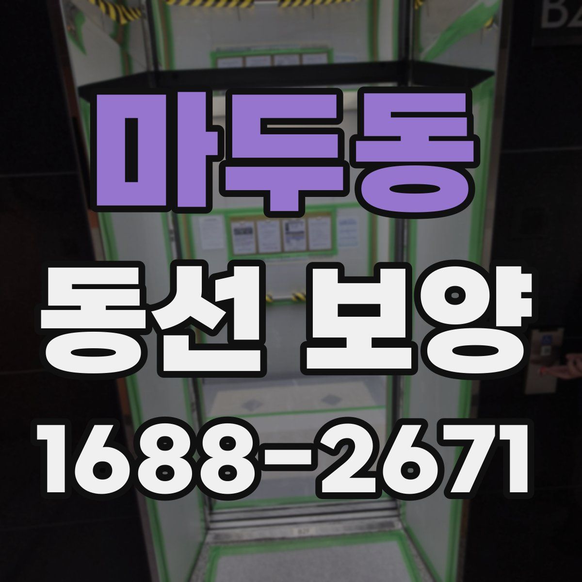 마두동 동선 보양