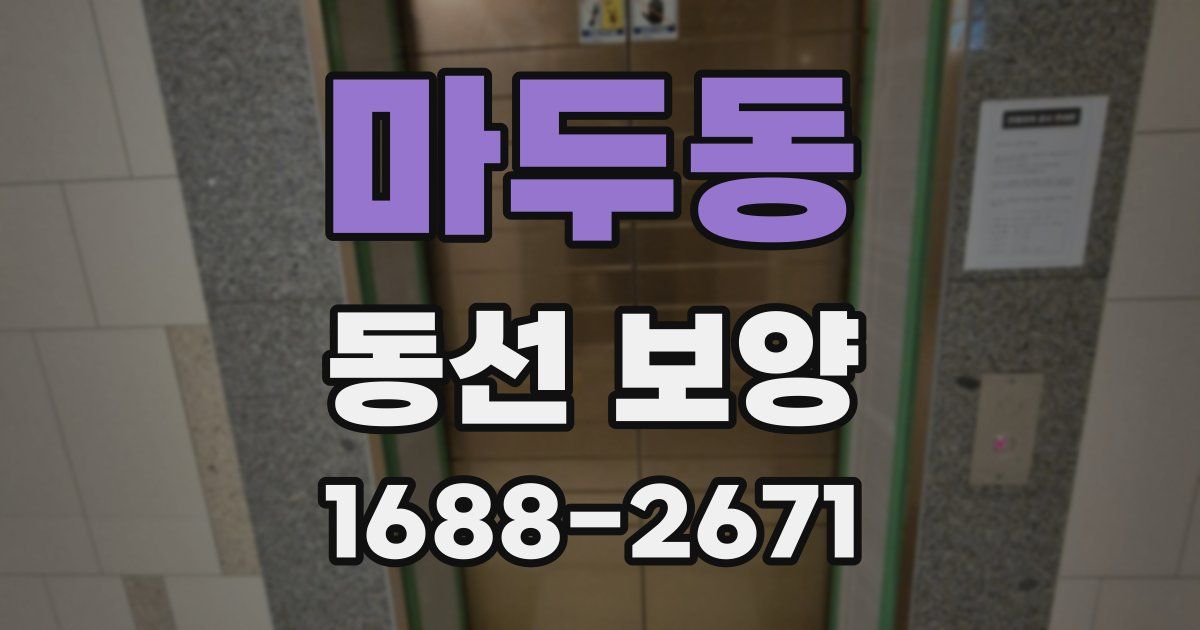 마두동 동선 보양