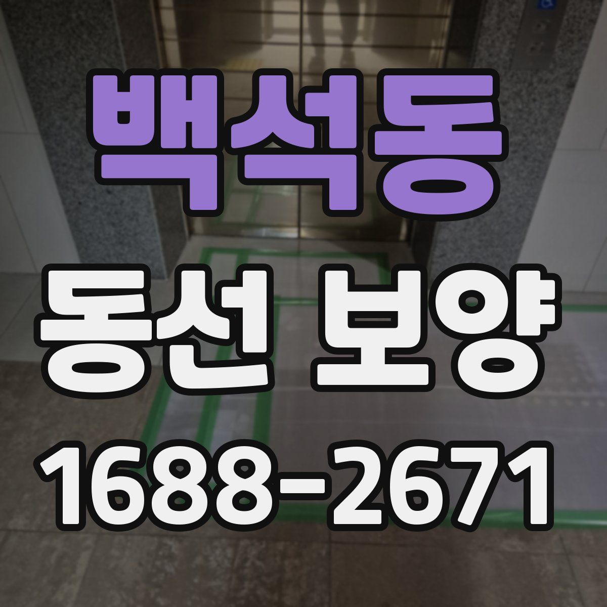 백석동 동선 보양