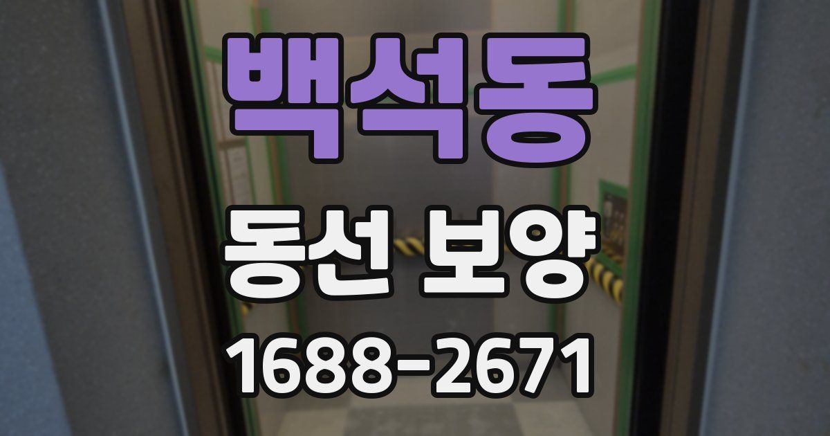 백석동 동선 보양