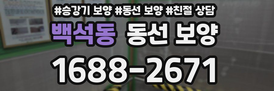 백석동 동선 보양