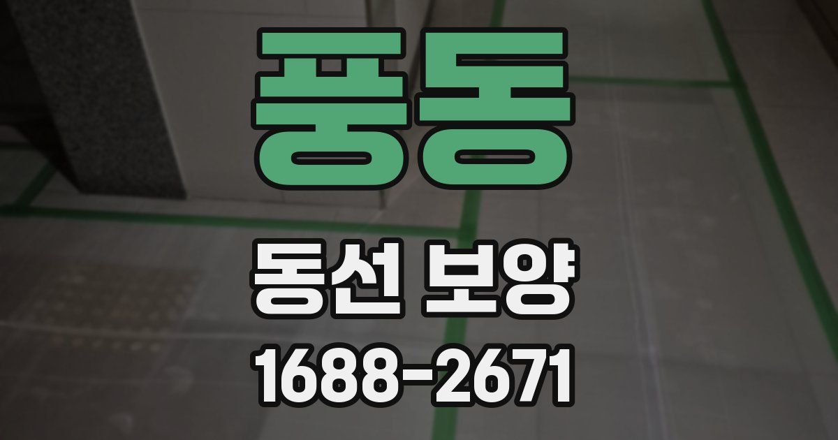 풍동 동선 보양