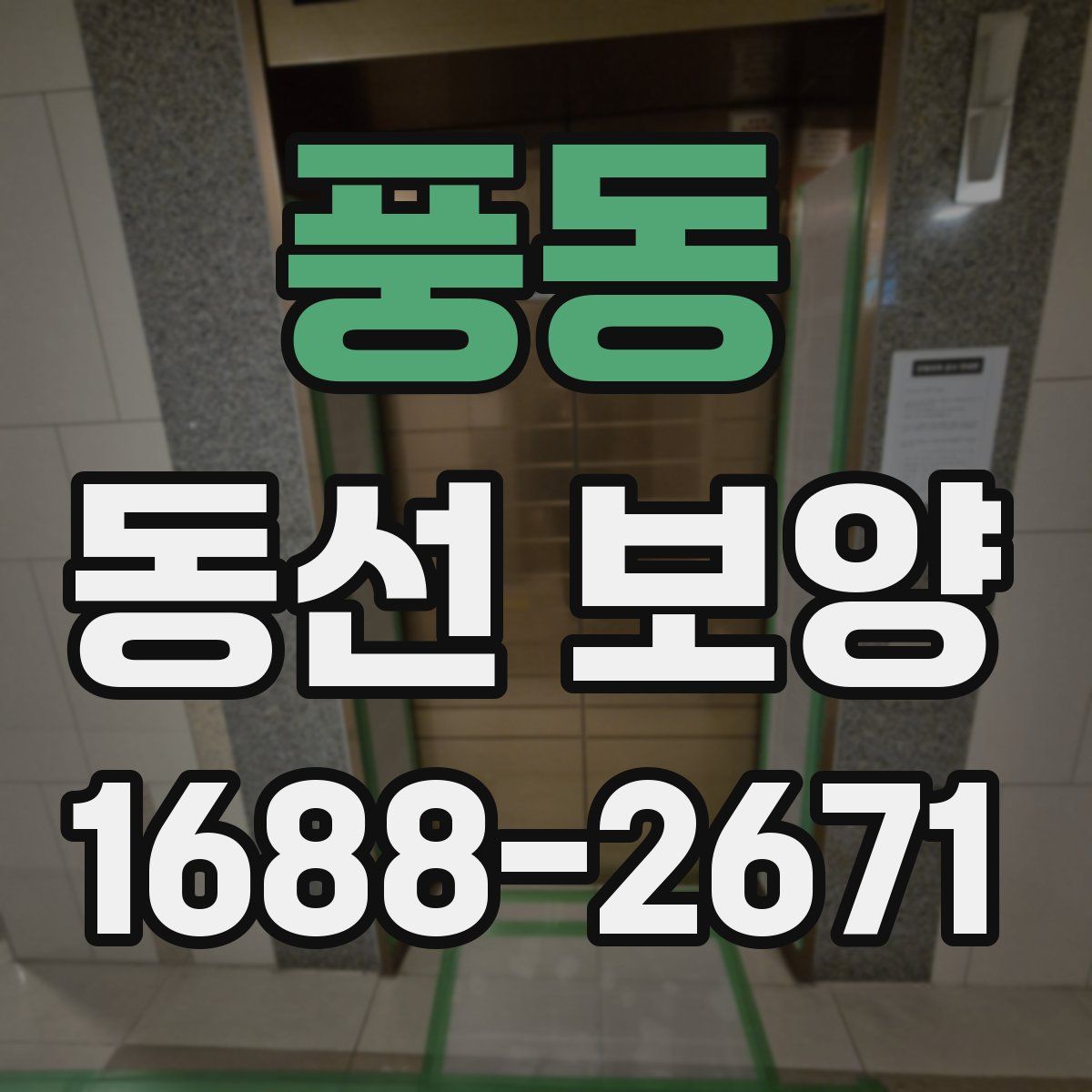 풍동 동선 보양