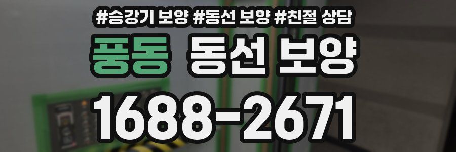 풍동 동선 보양