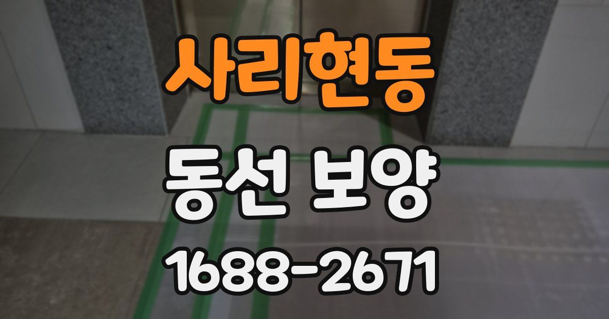 사리현동 동선 보양