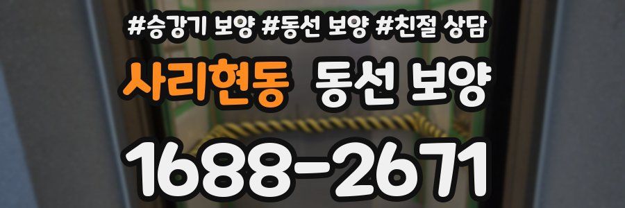 사리현동 동선 보양