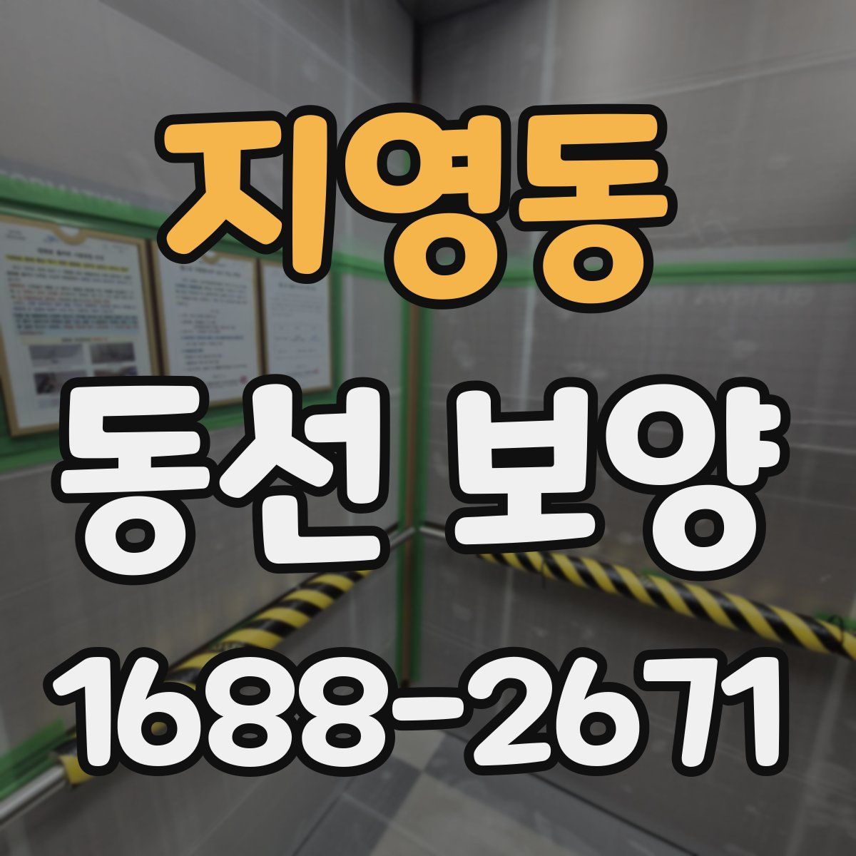 지영동 동선 보양