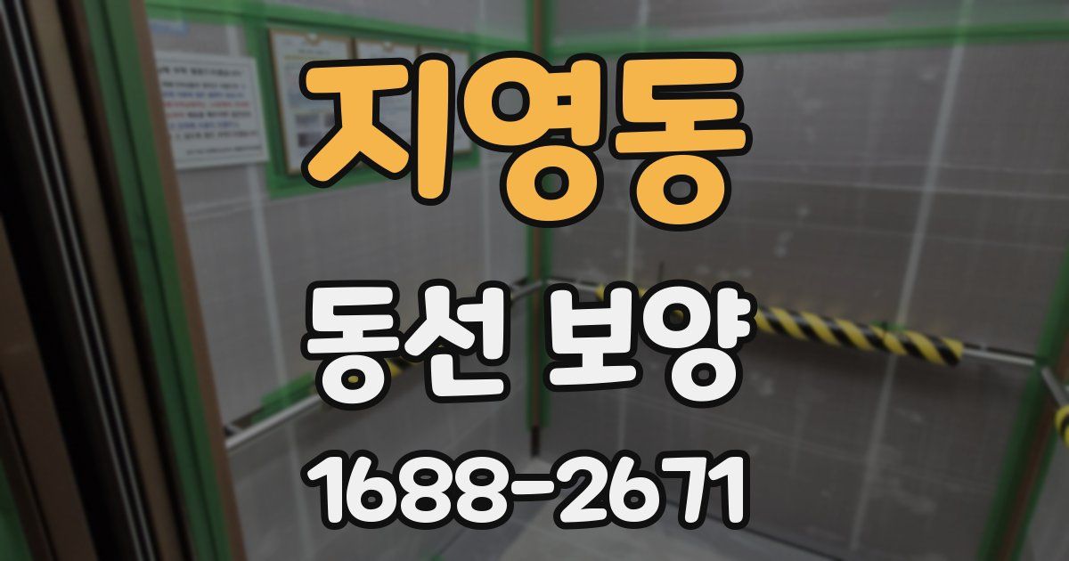 지영동 동선 보양