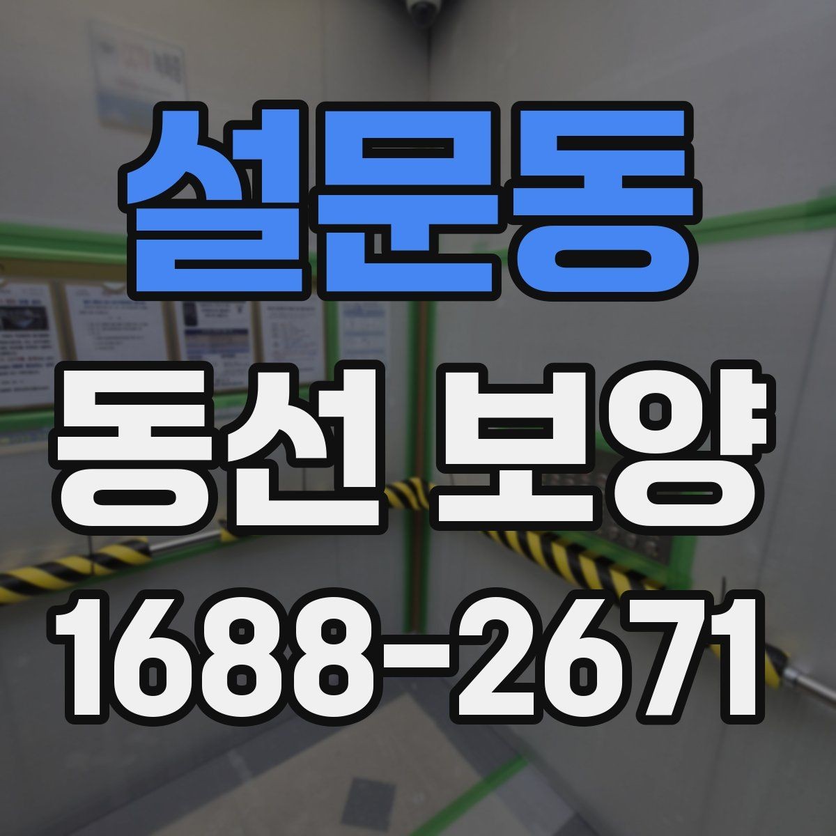 설문동 동선 보양 작업 순서를 이해하는 기본 안내