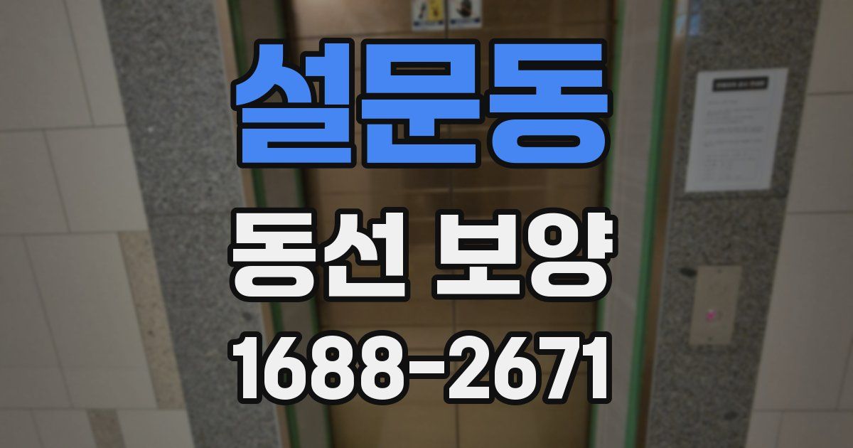 설문동 동선 보양