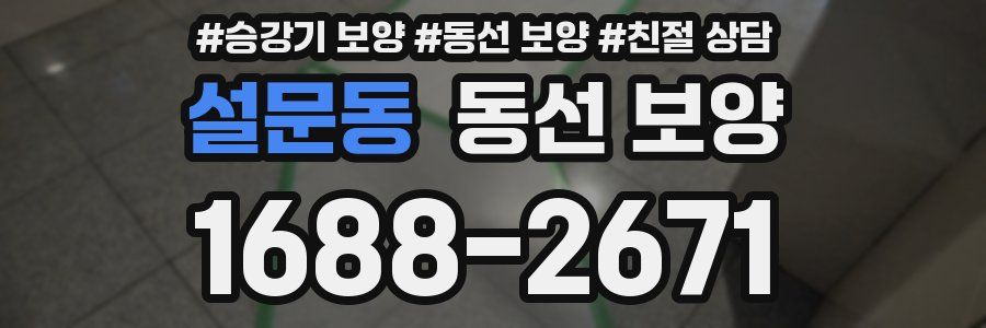 설문동 동선 보양