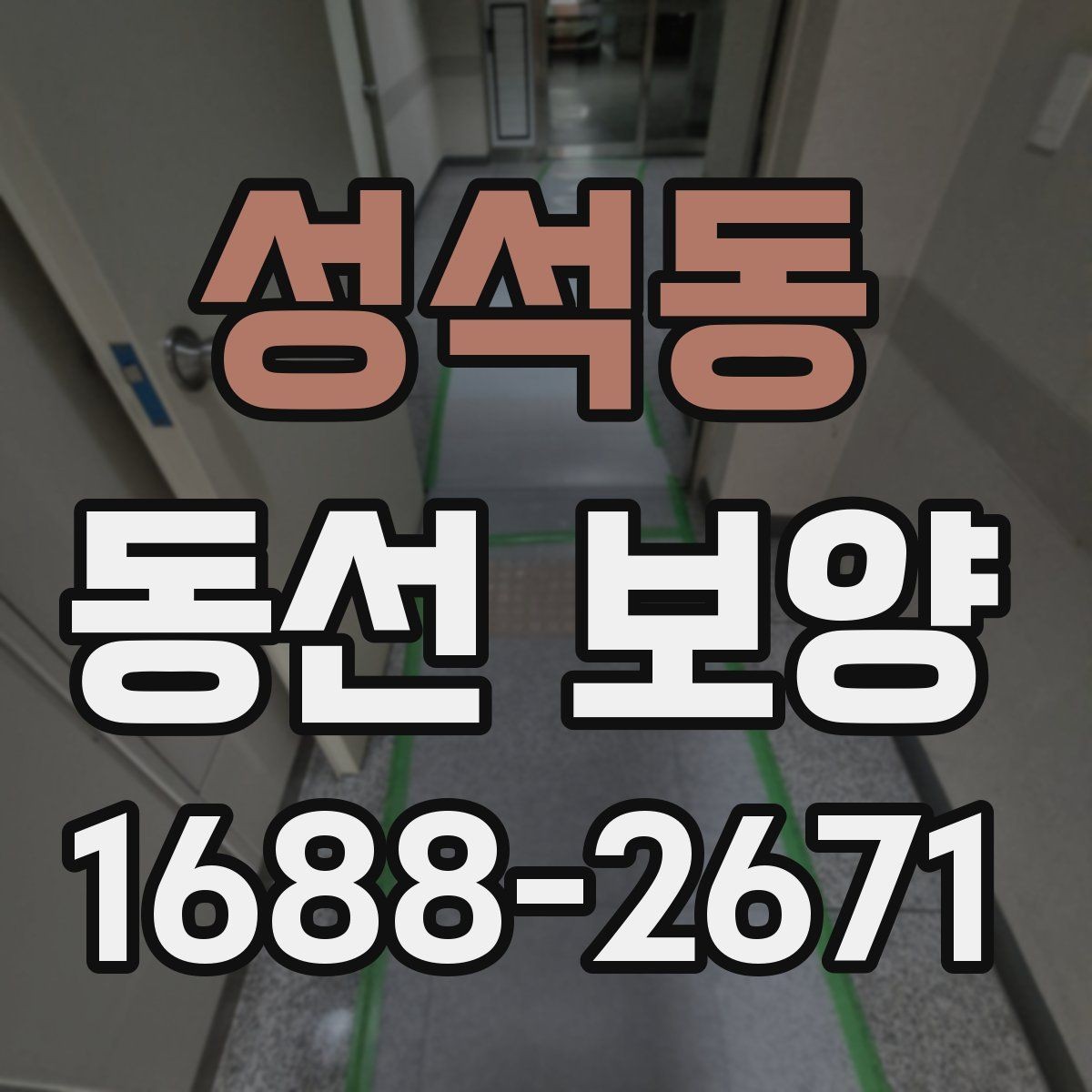 성석동 동선 보양 비용과 품질의 균형 잡기