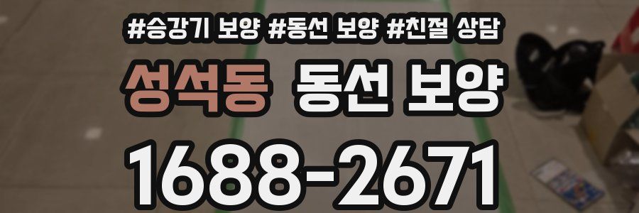 성석동 동선 보양