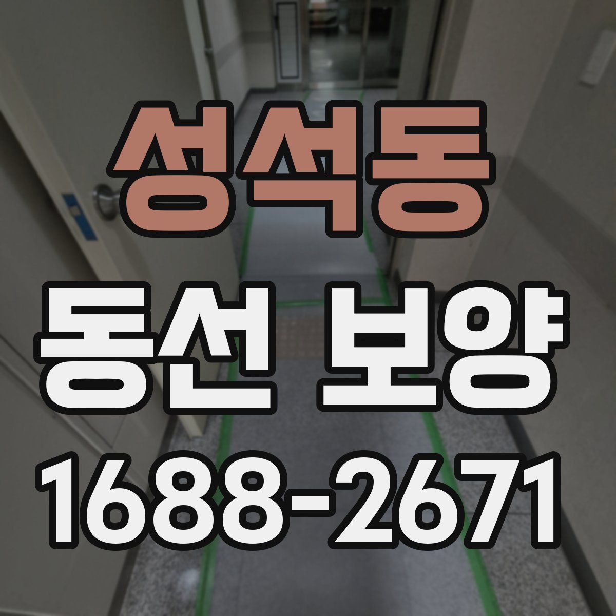 성석동 동선 보양