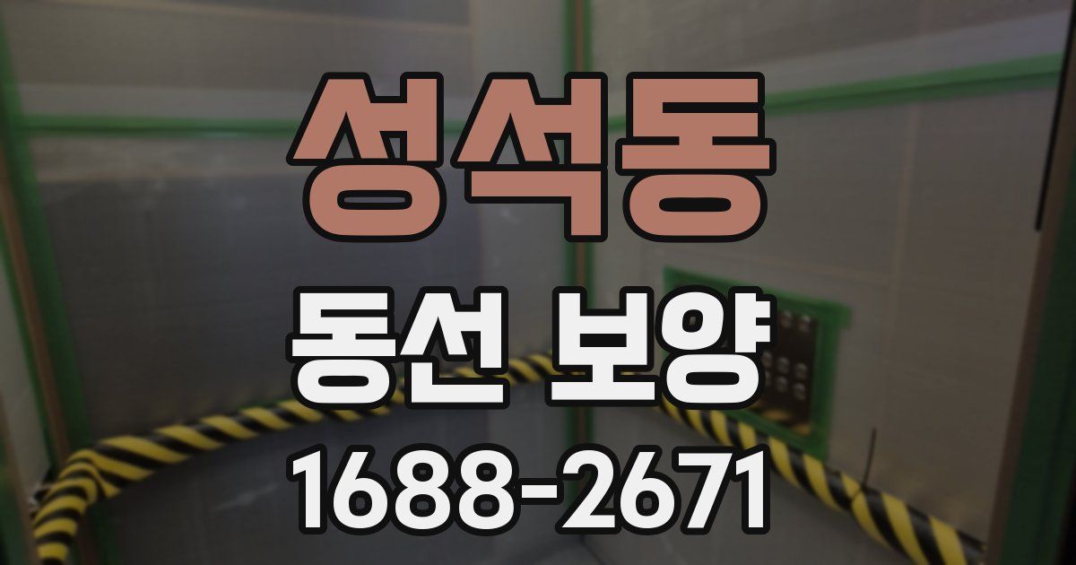 성석동 동선 보양